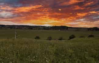 11 Davidson Road, Waimauku