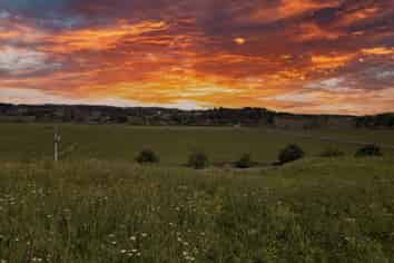 11 Davidson Road, Waimauku