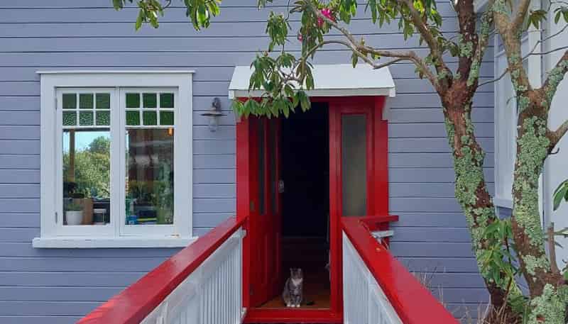 32 Cameron Street, New Plymouth