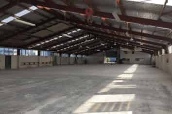 Glorious Glen Eden 1730 Sqm Industrial
