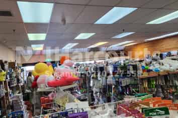 Two-in-One Opportunity, Well-established $2 Shops Business Bundle Sale! 
