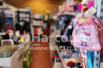 Two-in-One Opportunity, Well-established $2 Shops Business Bundle Sale! 