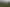 1299 Kumara Junction Highway, Awatuna