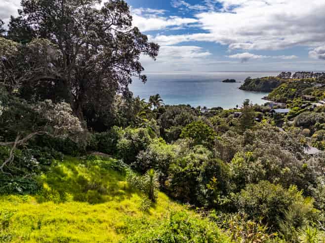 36 Tiri View Road, Palm Beach
