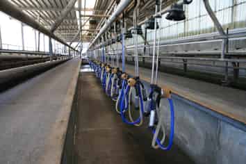 110-112 Mangaotea Road, Tariki