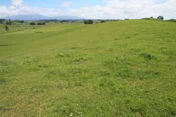 110-112 Mangaotea Road, Tariki