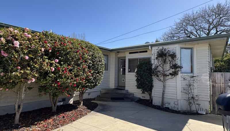 21B Boundary Rd, Claudelands