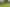 74 Shamrock Street, Takaro