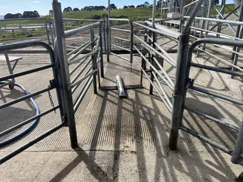 414 Glenn Settlement Road, Georgetown