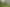 Bay of Plenty - Address withheld