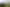 Bay of Plenty - Address withheld