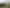 Bay of Plenty - Address withheld