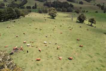 1387 State Highway 1, Okaihau