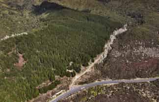 SH5 Napier-Taupo Highway, Broadlands Forest