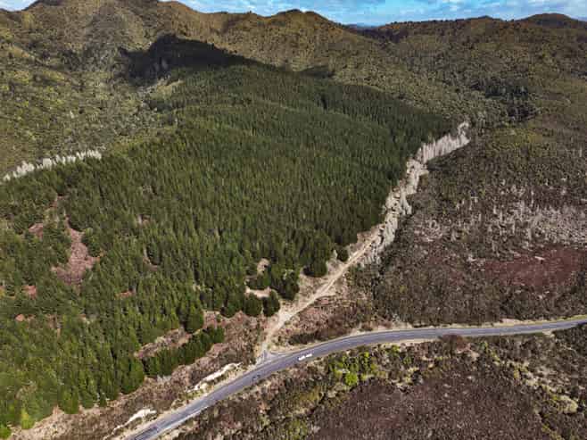 SH5 Napier-Taupo Highway, Broadlands Forest