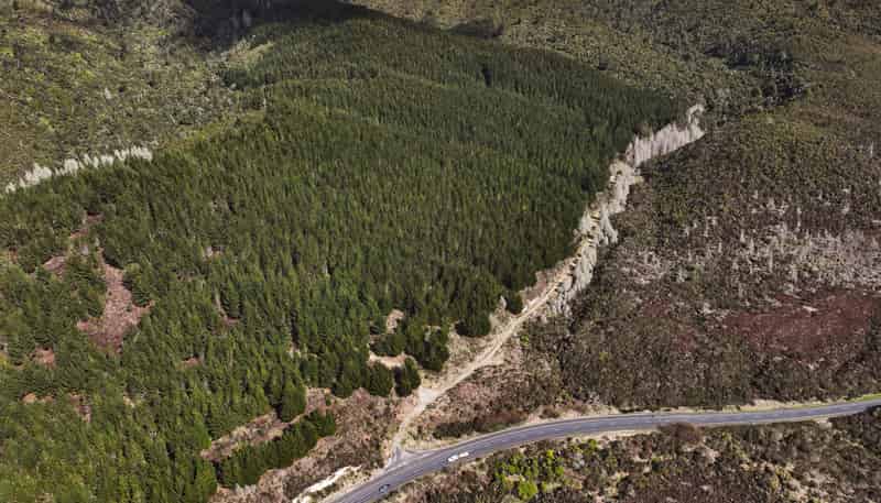 SH5 Napier-Taupo Highway, Broadlands Forest