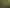 SH5 Napier-Taupo Highway, Broadlands Forest