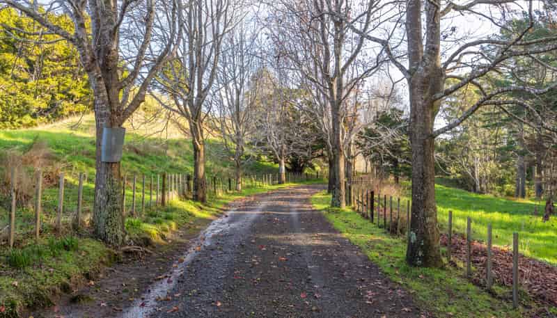 119 Wech Access, Makarau