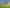 119 Wech Access, Makarau