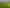 119 Wech Access, Makarau