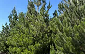 Lot 11 Taieri Peak Road, Palmerston