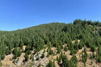 Lot 11 Taieri Peak Road, Palmerston