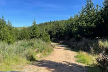 Lot 11 Taieri Peak Road, Palmerston