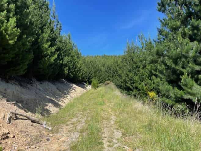 Lot 11 Taieri Peak Road, Palmerston