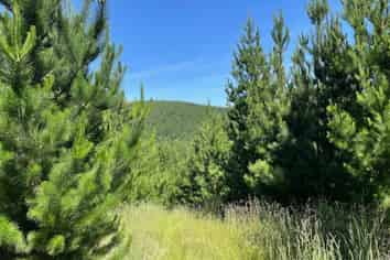 Lot 11 Taieri Peak Road, Palmerston