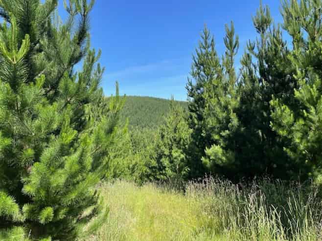 Lot 11 Taieri Peak Road, Palmerston
