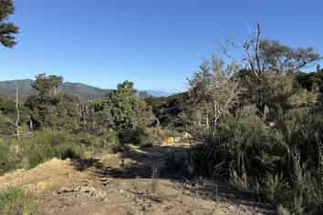 Lots 4-7 246 Blind Bay Road, Great Barrier Island