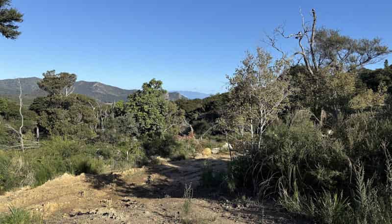 Lots 4-7 246 Blind Bay Road, Great Barrier Island