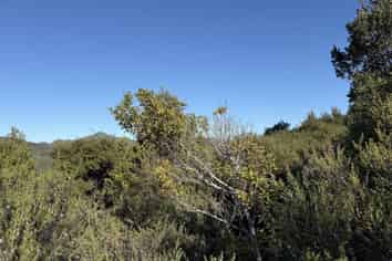 Lots 4-7 246 Blind Bay Road, Great Barrier Island