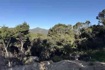 Lots 4-7 246 Blind Bay Road, Great Barrier Island
