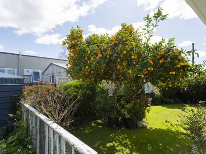 48 Andrew street, Elgin