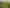 693 Kahutara Road, Kahutara