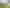 206 Whitaker Street, Whataupoko