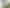 206 Whitaker Street, Whataupoko