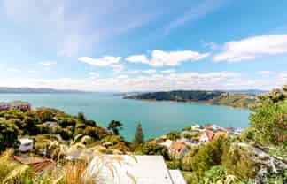 Flat 2/18 Waipapa Terrace, Hataitai