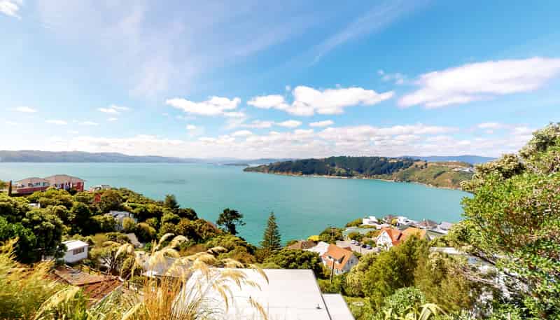 Flat 2/18 Waipapa Terrace, Hataitai
