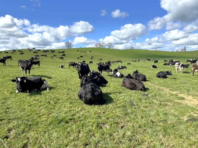 233B Kio Kio Station Road, Otorohanga