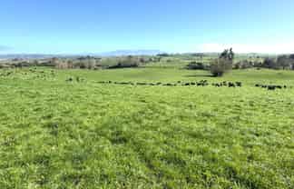 233B Kio Kio Station Road, Otorohanga