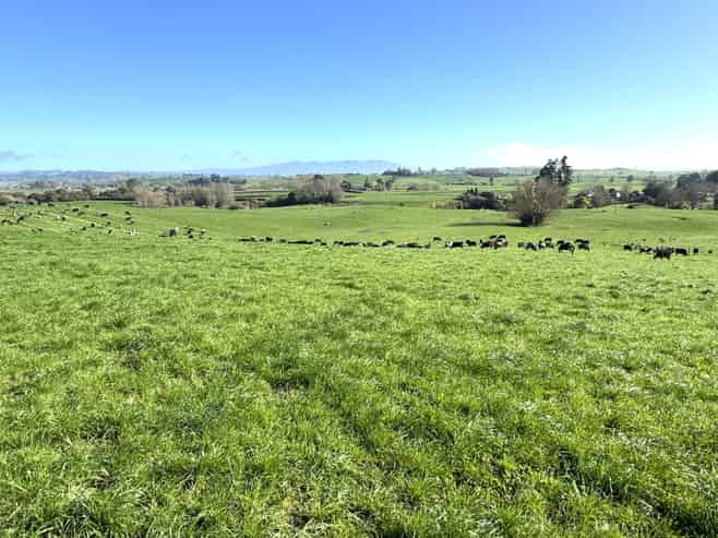 233B Kio Kio Station Road, Otorohanga