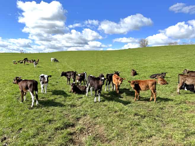 233B Kio Kio Station Road, Otorohanga