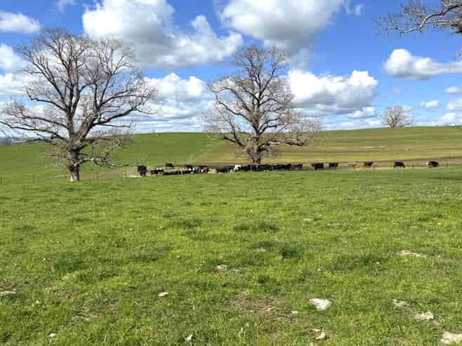 233B Kio Kio Station Road, Otorohanga