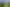 Hawkes Bay - Address withheld