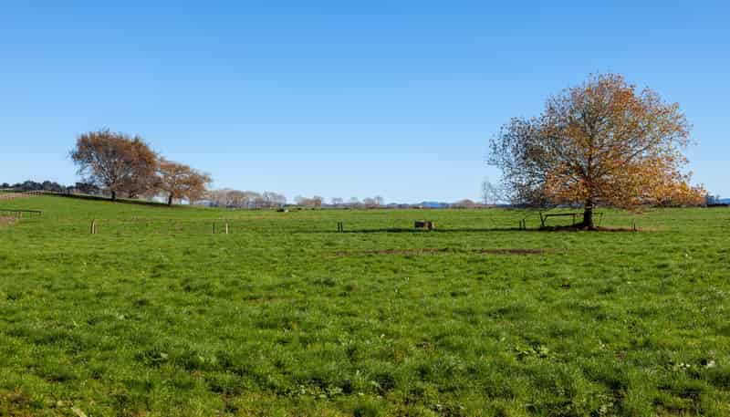 1/69 Douch Road, Ohaupo