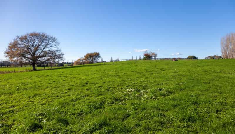 1/69 Douch Road, Ohaupo