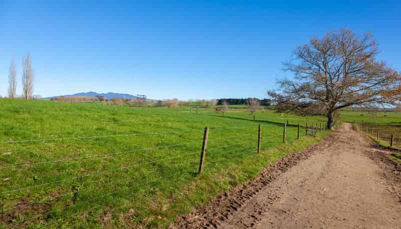 1/69 Douch Road, Ohaupo
