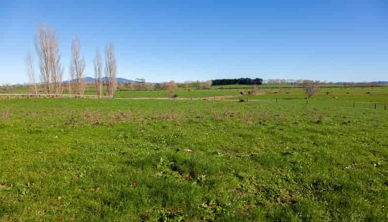 1/69 Douch Road, Ohaupo